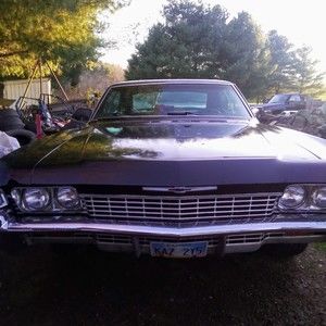 Meet your Posher, Dana